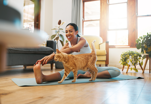 Boost Your Mood: How Kitten Yoga Enhances Mind-Body Well-being