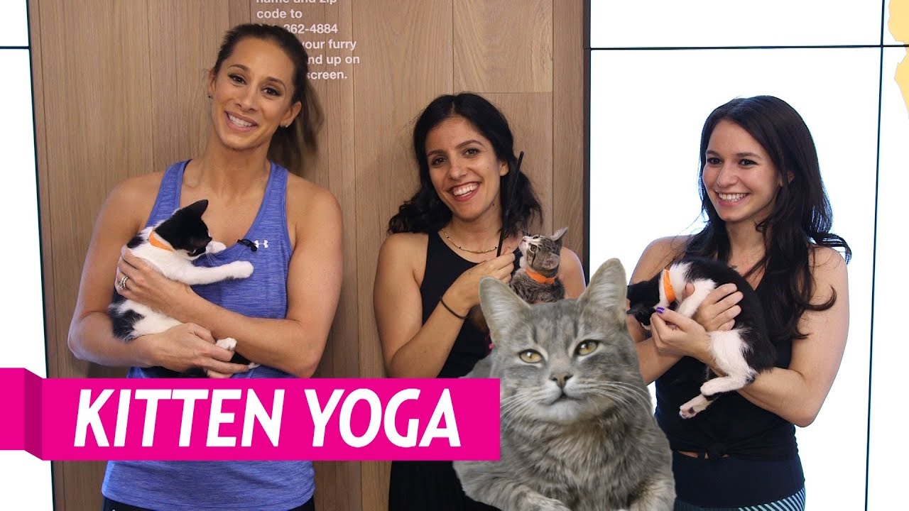 Kitten Yoga: Unleash Wellness & Happiness with Furry Friends